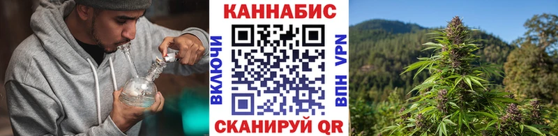 Конопля индика  Верея 